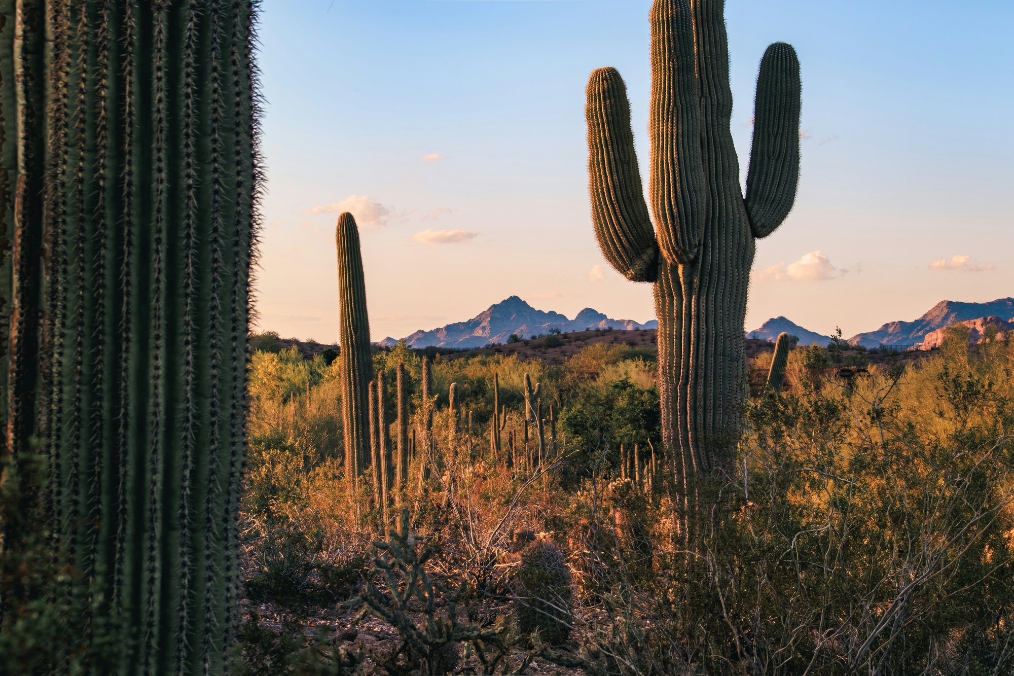 brice-cooper-rDeyfamMIMo-unsplash (1)